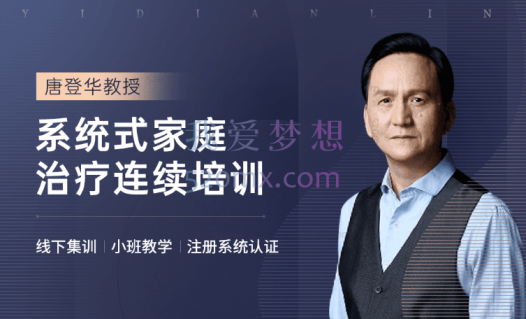 唐登华：地面课家庭治疗师长程系统培训项目四阶段 现场录音+课件