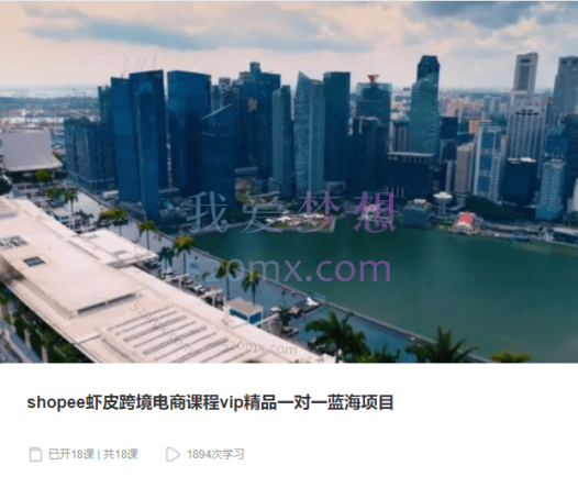shopee虾皮跨境电商课程vip精品蓝海项目