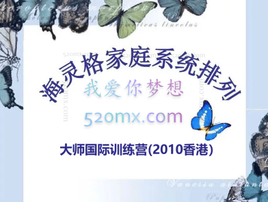 海灵格:大师国际训练营(2010香港)之家族系统排列