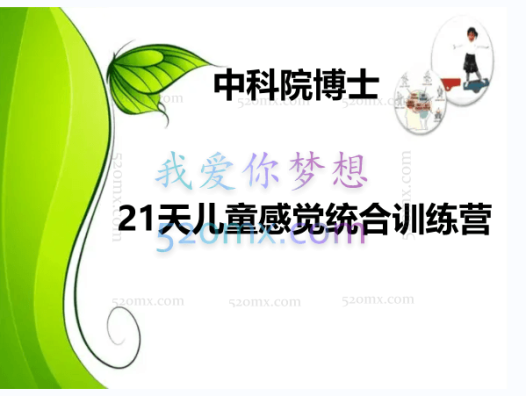 中科院博士：21天儿童感觉统合训练营，六模块微课录音+图文资料