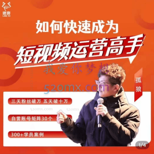 孤狼短视频运营实操课(如何快速成为短视频运营高手)