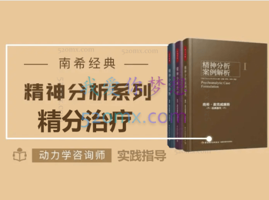 南希经典：精分治疗-实践指导动力学咨询师解读微课8讲