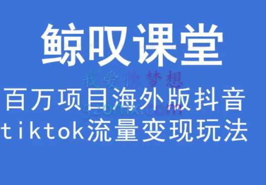 鲸叹号海外TIKTOK训练营(价值1980元)