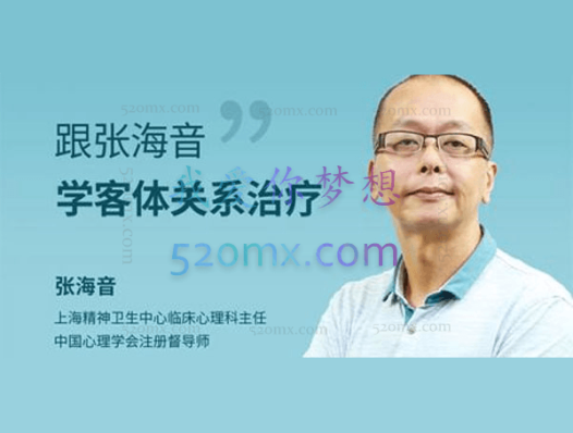 张海音：系统学习精神分析理论之客体关系治疗