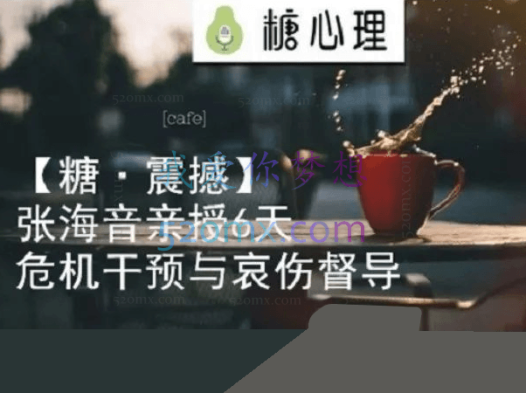 张海音:危机干预与哀伤辅导创伤修复督导 6天现场录音