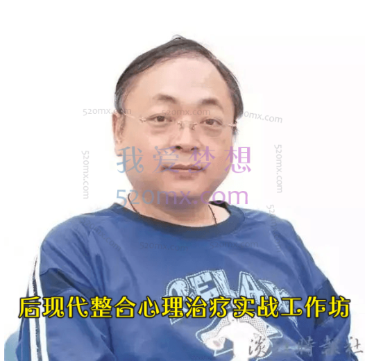 杨明磊 《后现代整合心理治疗实战工作坊》