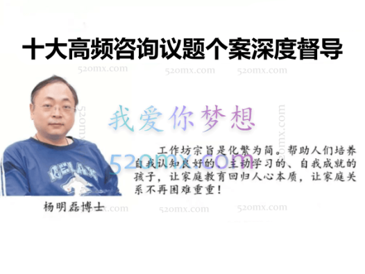 杨明磊：十大高频咨询议题个案深度督导