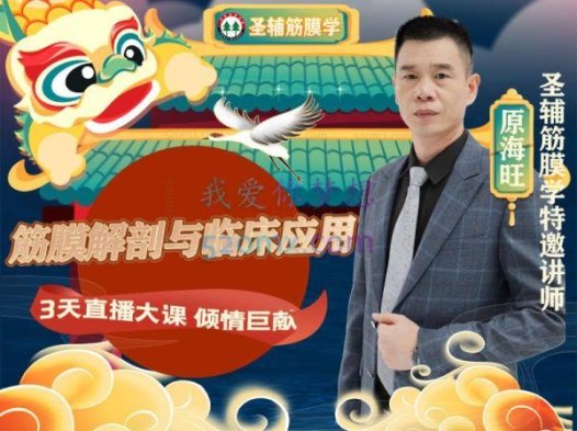 原海旺老师:系列课程筋膜解剖与临床应用