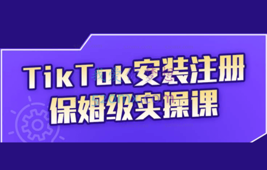 疯人院TikTok安装注册保姆级实操课(完整版)