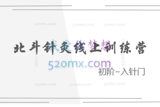 朱小宝:北斗针灸线上训练营(初阶~入针门)(中阶~筑针基)