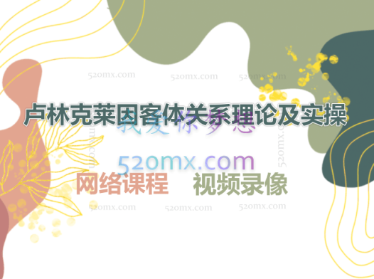 卢林克莱因客体关系理论及实操