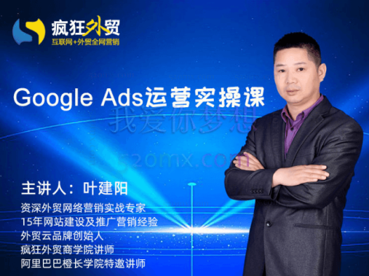 疯狂外贸：Google Ads运营实操课