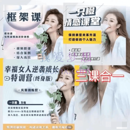 【一只橙刘晓嘉】幸福女人逆袭成长特训营+框架课+人人都需要的亲密关系合集