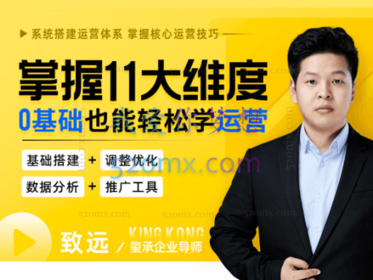 掌握11大维度,0基础也能轻松学运营