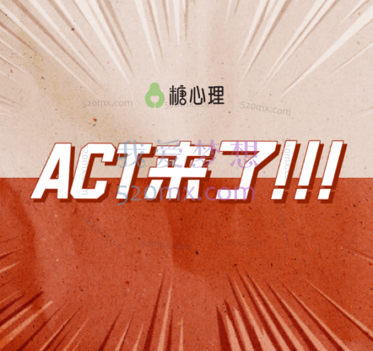ACT疗法实录与访谈(创始人亲授)