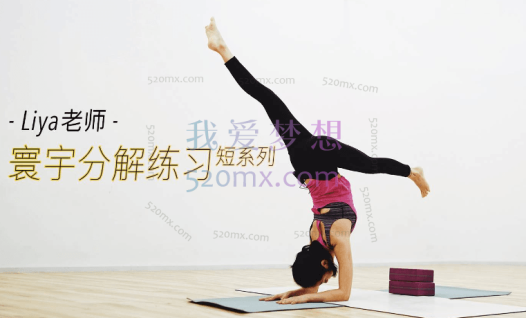 Liya Xiong-寰宇瑜伽分解练习短系列