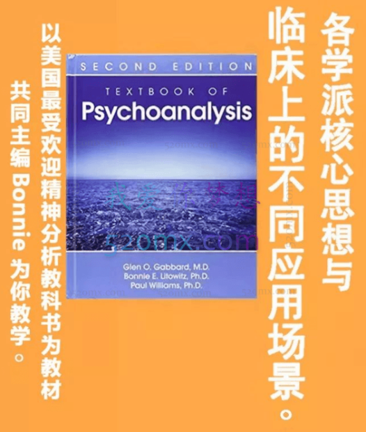 Bonnie讲精神分析各学派理论与临床应用场景18讲[视频+文字稿]