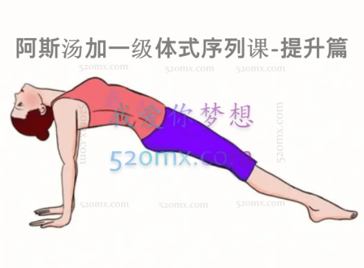 阿斯汤加一级体式序列课-提升篇