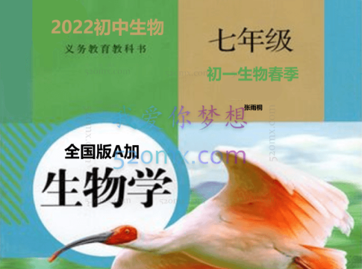 2022初中数学初一数学春季全国版