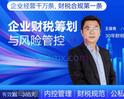 王葆青:企业财税筹划与风险管控