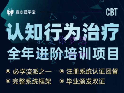 景鹏:焦点解决短期治疗两天课程录音