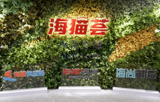 海猫跨境亚马逊线上课程