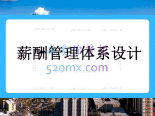 薪酬管理上市公司HRD全面薪酬设计