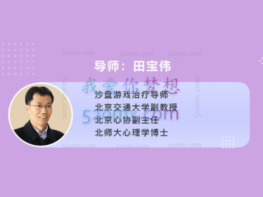 田宝伟博士:专业心理沙盘高级培训工作坊