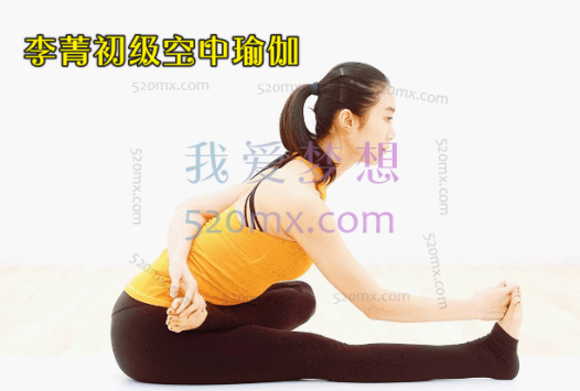 李菁初级空中瑜伽