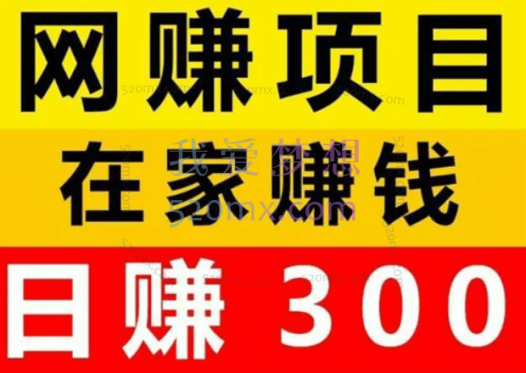 杨小基：日赚100、日赚300