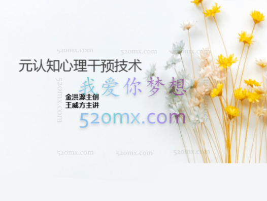 金洪源:第八十一届元认知心理干预技术全套