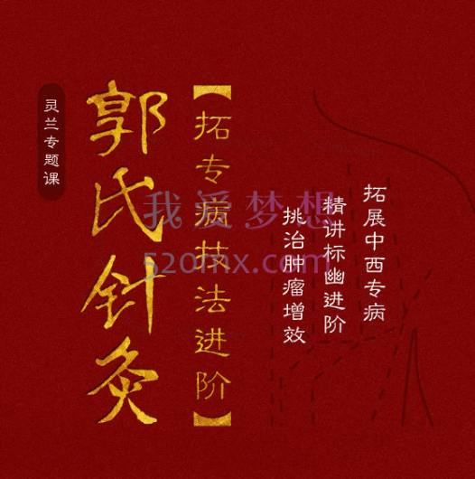 郭氏:针灸·拓专病技法进阶