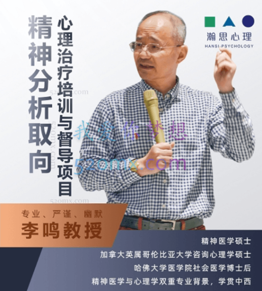 李鸣:精分析视角下的治疗主题(28讲)
