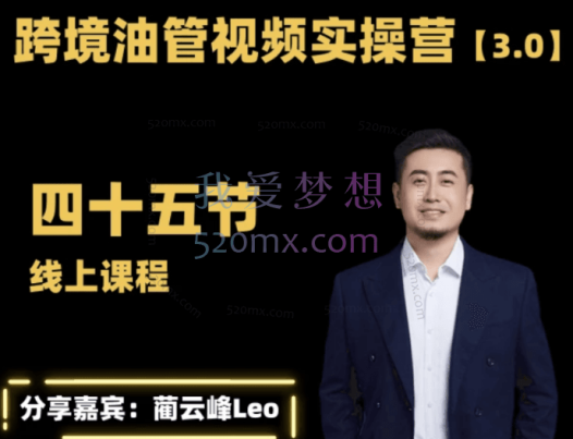 【黑松与山】蔺云峰Leo:油管YouTube线上运营实操课跨境电商YouTube运营