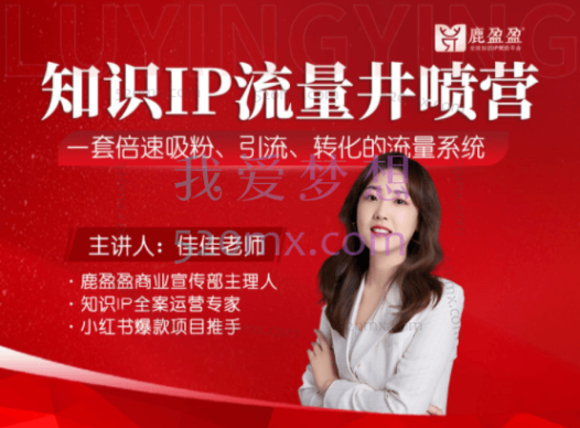 鹿盈盈:知识IP流量井喷营第2期