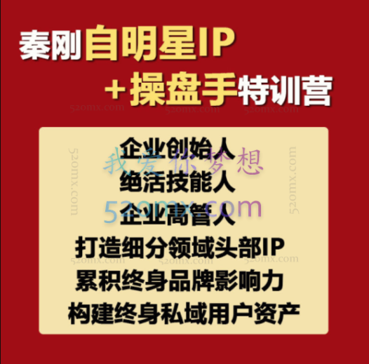 秦刚:明星IP变现+操盘手特训营-第4期