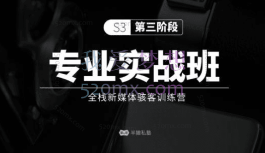 半撇私塾:专业实战班