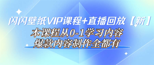 闪闪壁纸最新VIP课程 直播回放【新】