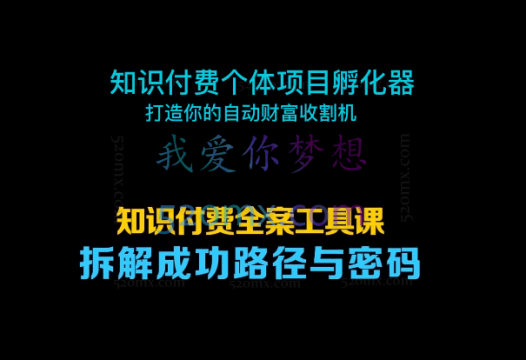 王蔷知识付费个体项目孵化器 ——打造你的个人财富收割机