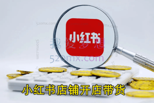 小红书店铺开店带货,0粉丝新手也能跑通全流程(6节课+爆款公式)