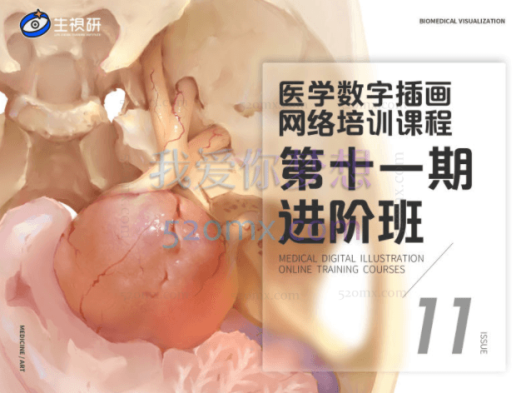 周舒扬:医学插画网络班·第十一期·进阶班