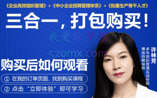 许林芳三合一：组织管理+招聘+批量人才