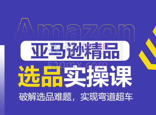 亚马逊精品选品实操课,破解选品难题,实现弯道超车