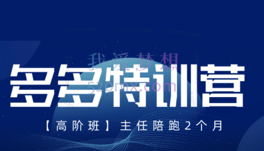 发宝电商纪主任拼多多-多多特训营-高阶班