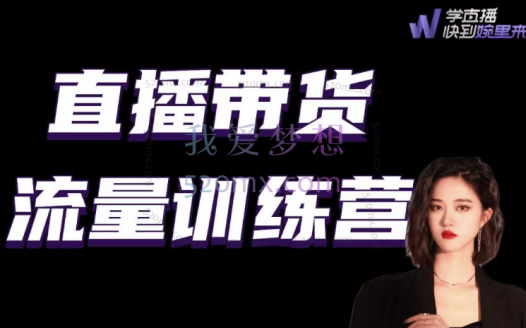 陈婉婉:直播带货流量训练营