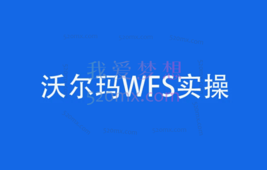 跨境电商365:沃尔玛WFS运营实操课