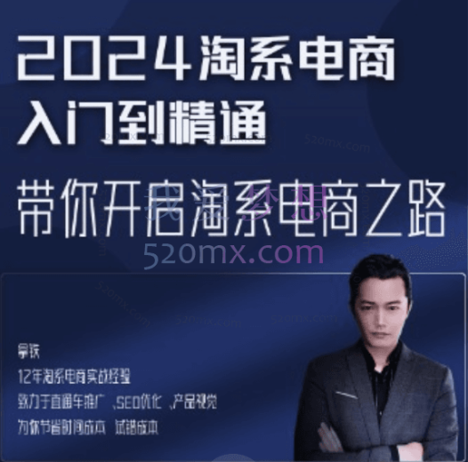 圆丰清电商:淘系电商入门到精通-运营进阶篇,带你开启淘系电商之路