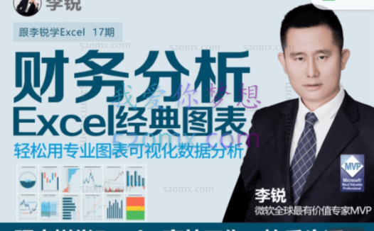 李锐Excel财务分析经典图表第十七期