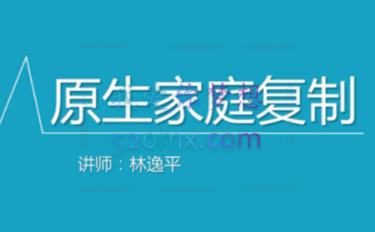 林逸平:原生家庭的复制 课程12讲 视频录像