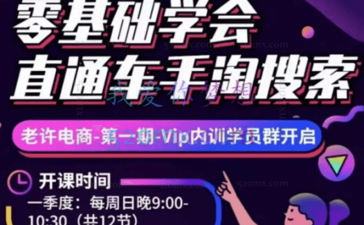 老许淘系搜索-非搜-直通车-选品-测款-教学答疑,价值3499元